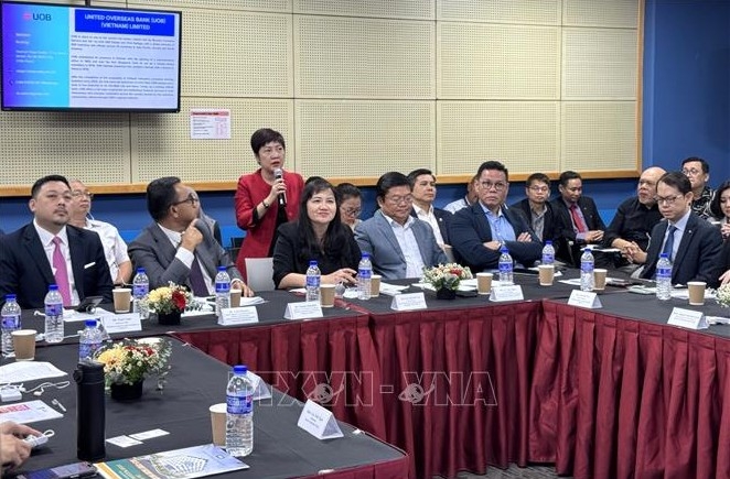 Vietnam, Malaysia boost investment initiatives through business roundtable